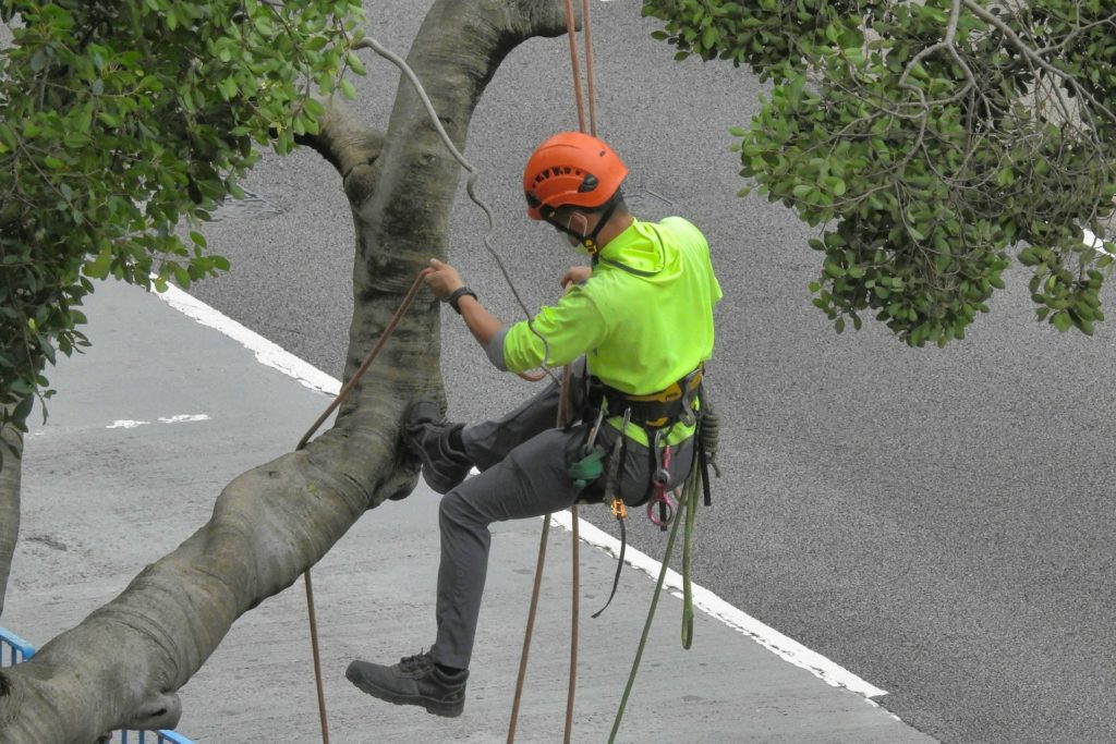 tree worker dunwoody
